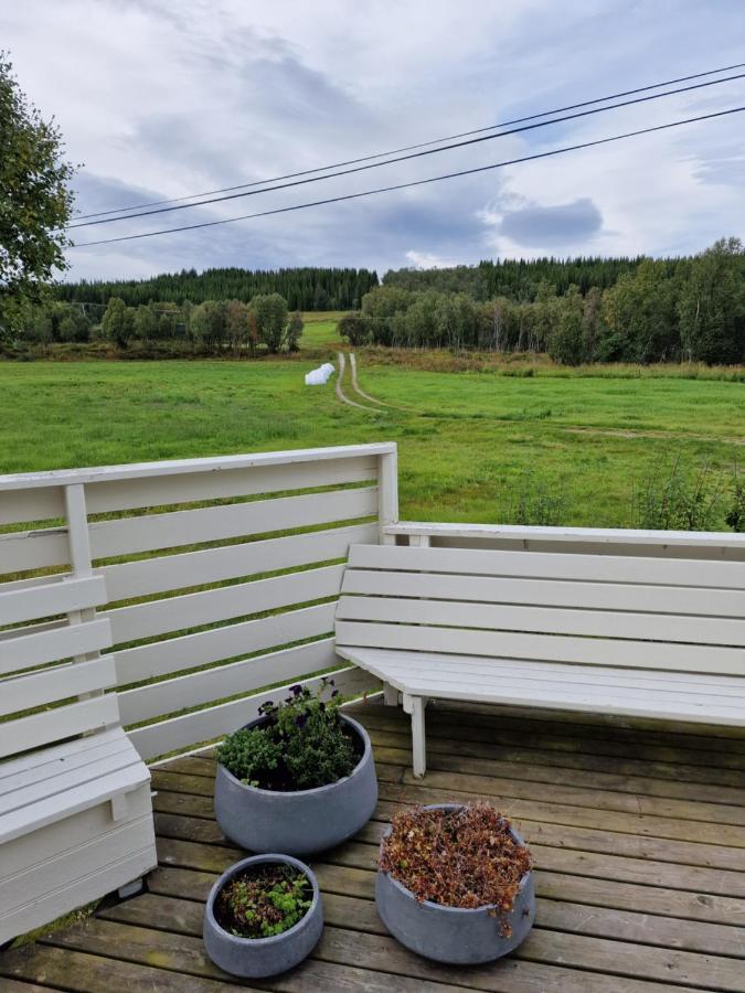 Warm And Cozy Cottage, Great Location Kvaloya Eksteriør billede