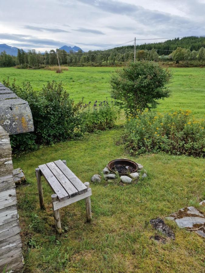 Warm And Cozy Cottage, Great Location Kvaloya Eksteriør billede