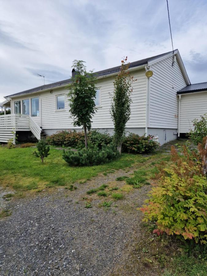 Warm And Cozy Cottage, Great Location Kvaloya Eksteriør billede