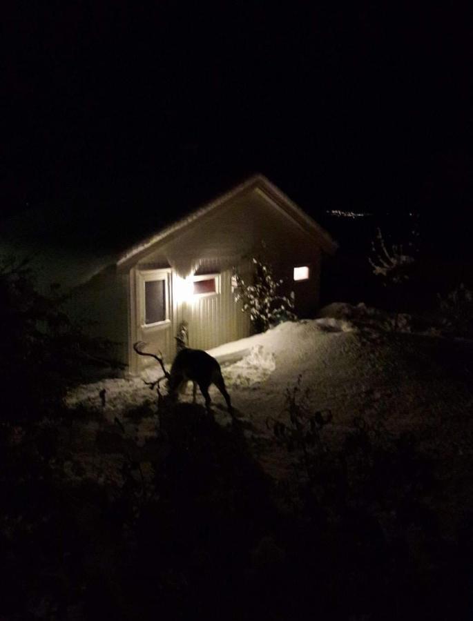 Warm And Cozy Cottage, Great Location Kvaloya Eksteriør billede